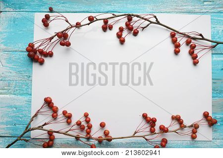 White background with branches with small apples,  close-up, Top view