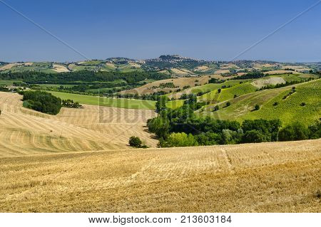 Rural landscape at summer along the road from Fermo to Monterubbiano (Marches italy)