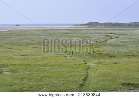 De Slufter A Nature Reserve On Texel, The Netherlands