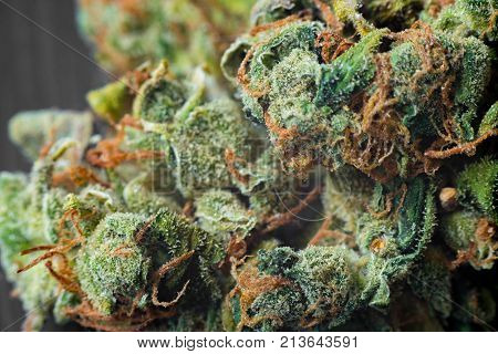 Macro photos of marijuana cones with leaves covered with trichomes. The cannabis plant clse view.