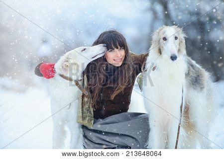 Christmas Walk. Beautiful Surprised Woman In Winter Clothes With Greyhound Dogs Graceful Winter Back