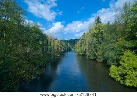 Rio e a floresta verde