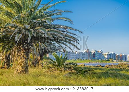 Waterfront Park, Montevideo, Uruguay