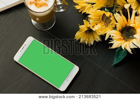 Beautiful girl holding a smartphone in the hands of a green screen green screen, hand of man holding mobile smart phone with chroma key green screen on white background, new technology concept