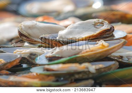 A lot of fresh mussels are on the table