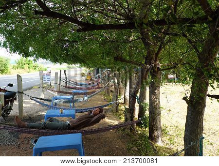 People Have A Rest Under Tree Shadow