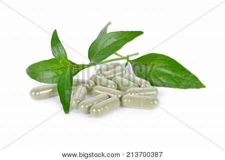 fresh kariyat leaves and capsule herb on white background