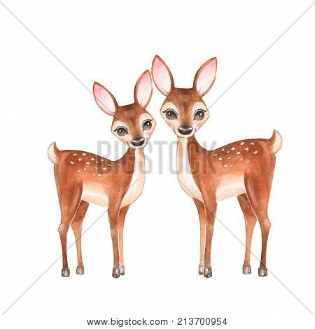 Сute fawns, isolated on white background. Watercolor illustration