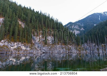 Dead trees in Lake Kaindy Tien-Shan mountains Kazakhstan Central Asia