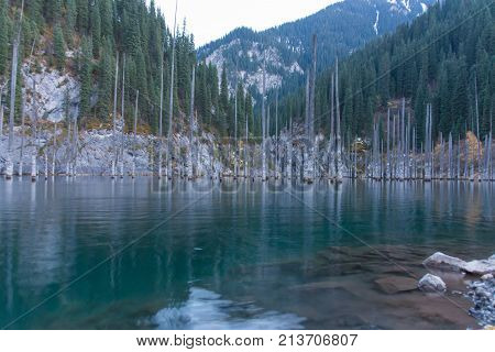 Dead trees in Lake Kaindy Tien-Shan mountains Kazakhstan Central Asia