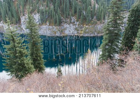 Dead trees in Lake Kaindy Tien-Shan mountains Kazakhstan Central Asia
