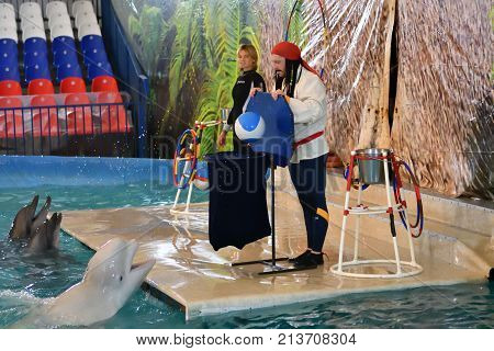 Orenburg, Russia - November 8, 2017 Year: Belukha (lat. Delphinapterus Leucas) In The Dolphinarium