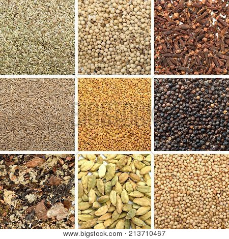 Collage Of Different Herbs And Spices