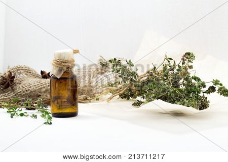 Thyme Oil Skincare. Bottle Of Herbal Extract, Aromatic Fresh Green Twigs.