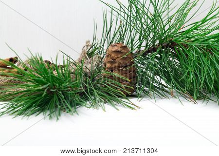 Green Coniferous Cedar Branch With Cones Closeup On White Wooden Background