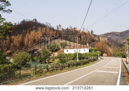 Summer forest fires in Central Portugal destroyed many houses and came dangerously close to many other.