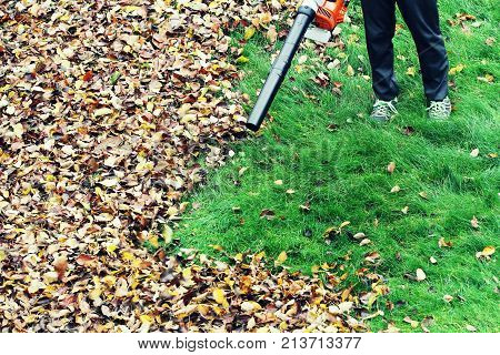 Gardener clearing up the leaves using a leaf blower tool