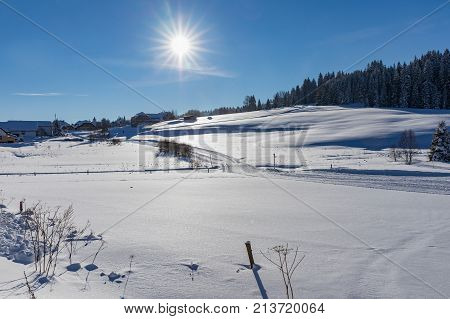 Winter landscape. Walk in winter woods. Snow world. The track for cross-country skiing. Beautiful and unusual roads and forest trails. The snowy forest. Tourism concept. Bodycopy space.