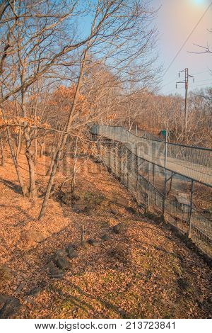 autumn forest, Safari Park, it highest bridge to walking people. Russia. Primorskiy Kray