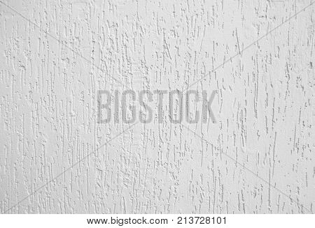 the background is made of a texture of Venetian plaster of white color. Style bark beetle with a relief surface
