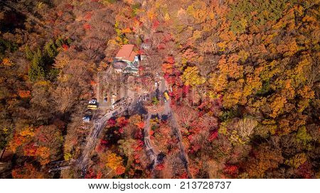 Autumn Of Naejangsan National Park,south Korea