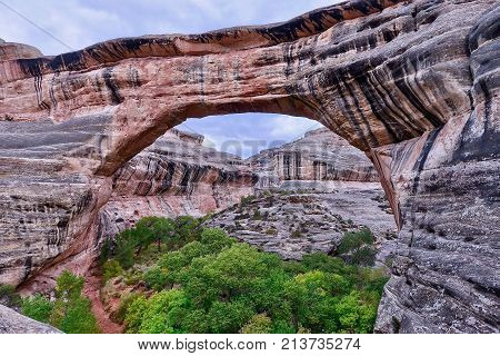 Blanding, USA,  The Sipapu Bridge at the Natural Bridges National Monument in the USA.