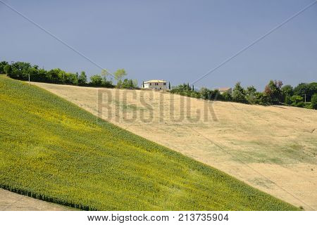 Rural landscape at summer along the road from Fermo to Monterubbiano (Marches italy)