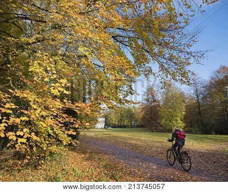 girl on bicycle in colorful autumn park on utrechtse heuvelrug in the netherlands