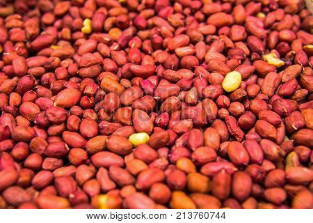 Red Grain Peanut