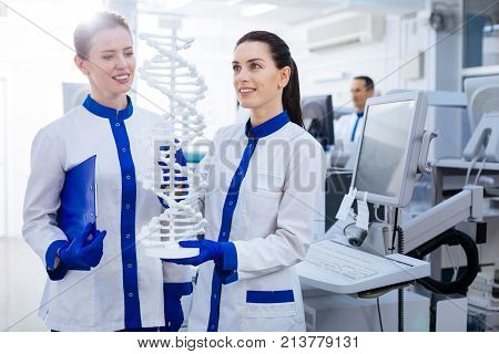 Research work. Two cheerful beautiful female researchers studying  DNA evolution and holding DNA model  and standing in the laboratory while  one of them keeping blue folder on hand