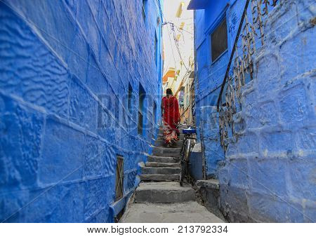 Blue Houses In Jodhpur, India