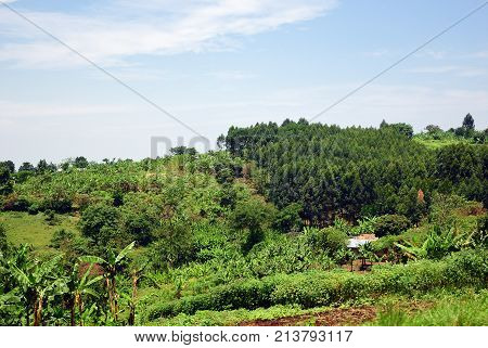 Uganda Rural Landscape, Africa