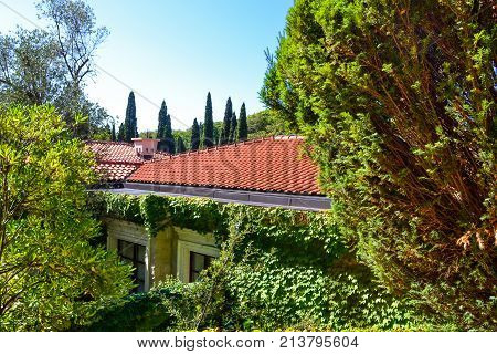 Fragment of the coastal city. Tiled roof among green plants