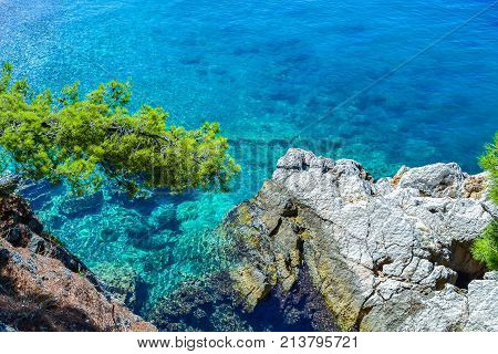 The sea view. Through the clear water you can see the stones on the bottom. Stony beach with pine trees. View from above