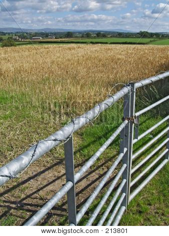 Cancello zincato Farm