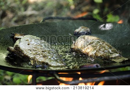 Cooking Oil Images, Illustrations, Vectors - Cooking Oil Stock Photos