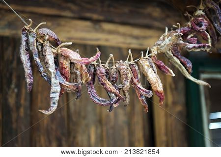 etno village dry peppet paprika decoration. food decor
