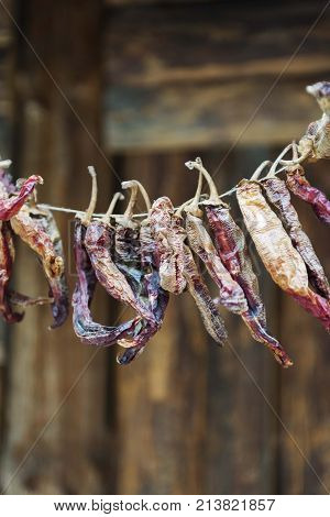 etno village dry peppet paprika decoration. food decor