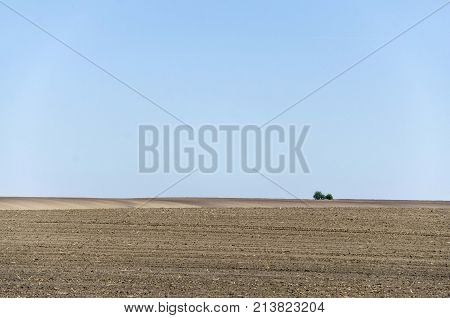 agriculture arable land field with sky clouds. agricultural landscape