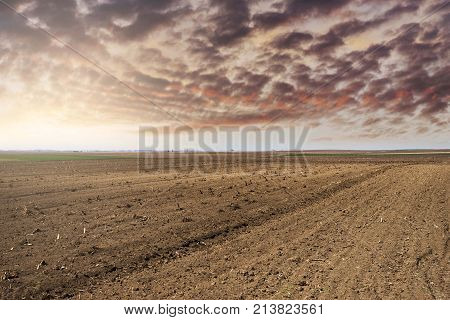 agriculture arable land field. natural outdoor agro landscape