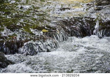 nature stream of water close up from low angle