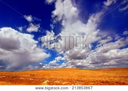 Wyoming country scenery on a beautiful summer day in Albany County