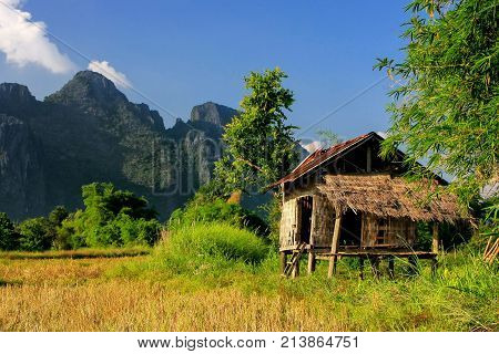 Farmer's hut on a field in Vang Vieng Laos. Vang Vieng is a popular destination for adventure tourism in a limestone karst landscape.