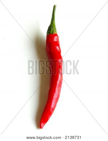 Pimiento rojo en blanco Backgrond