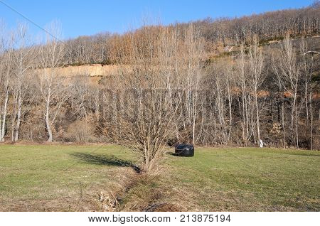 Hay meadows and poplar groves. Photo taken in La Pola de Gordon, Leon Province, Spain