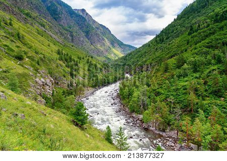 Valley Of Chulcha River. Altai Republic. Russia