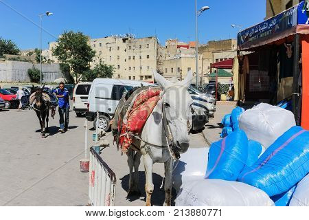 Pepole On The Street Of Rabat City In Morocco