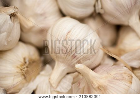 Fresh Garlic Group Background, Garlic Cloves Background Full Basket Of Garlic In The Store In The Ma