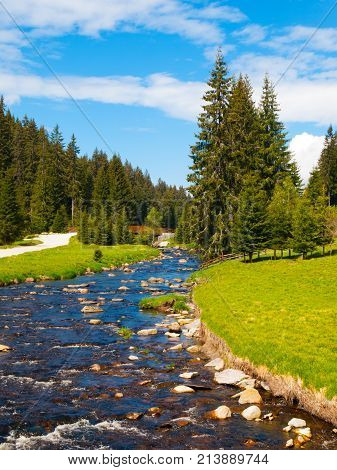 Idyllic landscape with calm mountain river on sunny day. White stones and green meadows and trees. Sumava National Park, Bohemian Forest, Czech Republic.