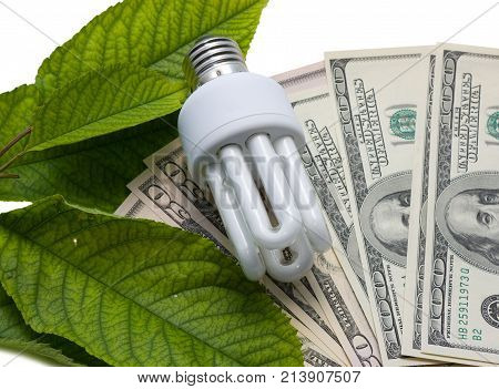 Luminescent lamps on a background from dollars and green leaves. The concept of energy saving